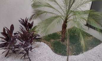 Imagem 2: Primo Meneghetti