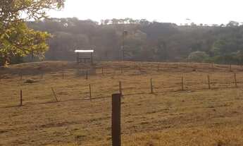 Imagem 4: OPORTUNIDADE EXTRA FAZENDA ! 65 ALQUEIRES REGIÃO DE CÓRREGO DO OURO