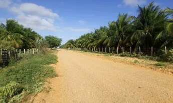 Imagem 4: Fazenda Fazenda / sítio com venda por R$600.000