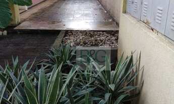 Imagem 5: Casa, 343 m² - venda por R$ 3.200.000,00 ou aluguel por R$ 18.300,00/mês - Vila Monumento