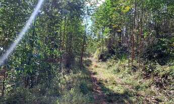 Imagem 6: Terreno á venda com ótima vista panorâmica para natureza