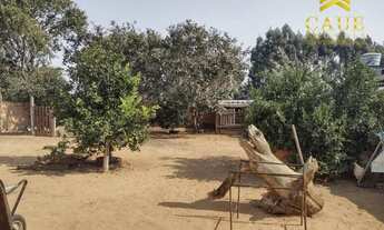 Imagem 5: Sítio 600m², plano, c/casa de alvenaria, em condomínio as margens da RS040