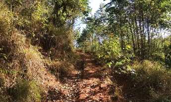 Imagem 3: Vende-se terreno de 1.000m² para chacara a 4km do centro do boa vista em igarata