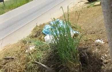 Imagem 4: Vendo ou troco por carro etc