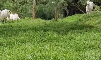 Imagem: CHÁCARA 5.4 ALQU RUBIATABA