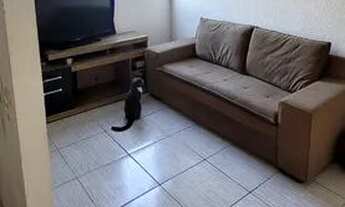 Imagem 4: Apartamento de 1 quarto em campo grande