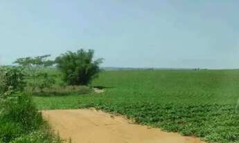 Imagem 2: FAZENDA COM 190 ALQ - CULTURA , MARGEIA RIO , PRÓX. DE USINA, - SANTÓPOLIS DO AGUAPEI