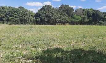 Imagem 4: Chácara de 3 Mil Metros na Rajadinha 1 - Toda Plana - Planaltina DF