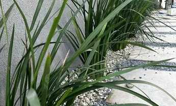 Imagem 5: Sobrado para venda possui 71 metros quadrados com 2 quartos em Floresta - Joinville - SC