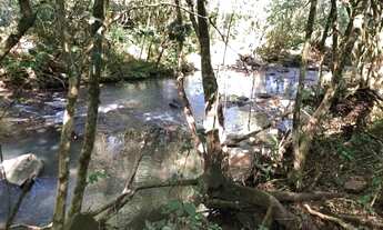 Imagem 3: 3 alqueires 350.000 o alqueire de terra