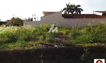 Imagem 2: Terreno (terreno normal