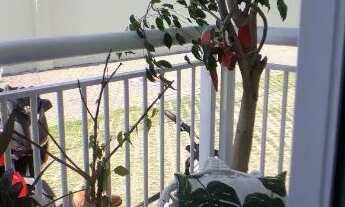 Imagem 3: Apto todo novo, mobiliado e equipado - 3 quartos com suíte - condomínio com lazer