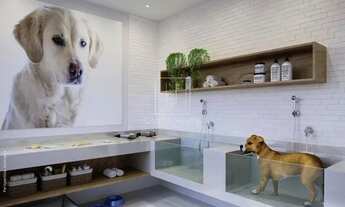 Imagem 6: Apartamento (tipo - padrao) 2 dormitórios/suite, cozinha planejada, portaria 24hs, lazer