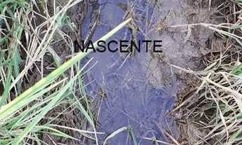 Imagem 5: Oportunidade -Fazenda em Mutum 140,82 hectares - Minas Gerais