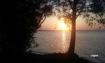 Imagem 6: Caiçara (Figueira) Arraial do Cabo - RJ