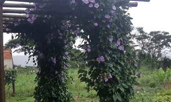 Imagem 2: Vendo chácara em condomínio fechado