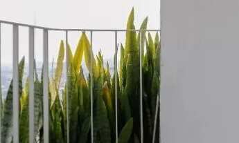 Imagem 2: Apartamento à venda com 65m², 2 quartos e 1 vaga