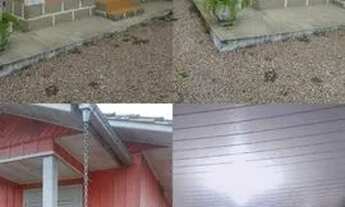 Imagem: Vendo ou troco