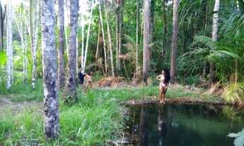 Imagem 3: Terreno 23 hectares