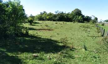 Imagem 4: Fazenda com 20 Alqueires a 45 km de Maringá