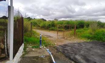 Imagem 2: Terreno frente Airton Senna 100 mil m2