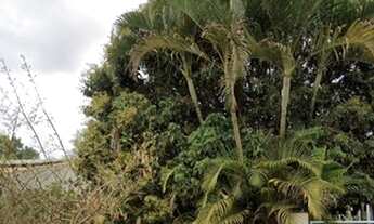 Imagem 3: Campinas - Terreno Padrão - Recanto dos Dourados