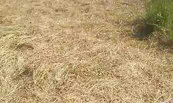 Imagem 4: Terreno de 2.760 M2 todo plsno emurado