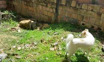 Imagem 4: Casa Monte Sinai