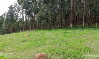 Imagem 5: **Oportunidade Imperdível em Joanópolis***Glebas Rurais com 20.000m² Documentadas**