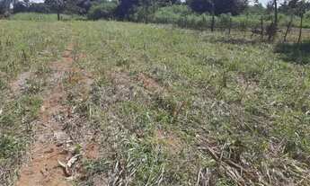 Imagem 3: Chácara de 3 Mil Metros na Rajadinha 1 - Toda Plana - Planaltina DF