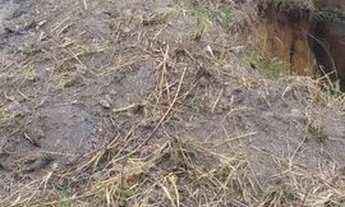 Imagem 5: Oportunidade terreno em Santana de Parnaiba Bairro em cresci