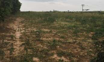 Imagem 6: Vende-se chácara 2,5 alqueires, 300 mts da cidade Dracena/Sp