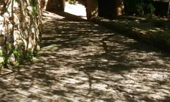 Imagem 7: 2.164M2 de área!! Belíssima Mansão plana com 789M2 , melhor local bairro!!