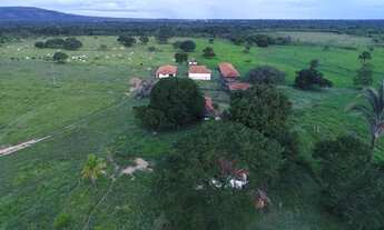 Imagem 4: Fazenda/Sítio/Chácara para venda possui 1146 hectares com 5 quartos