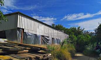 Imagem 4: Galpão - Real Parque - Campinas