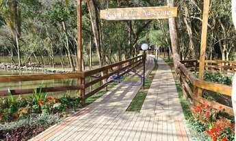 Imagem 6: GRANJA VIANA - SÃO PAULO II