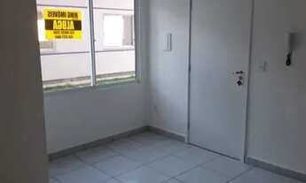 Imagem 5: Apartamento no Residencial Violeta
