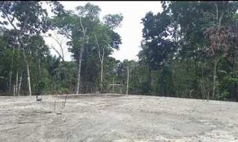 Imagem 4: Bairro Ponta Negra - estilo chacara