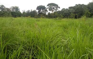 Imagem 15: Vende-se Fazenda com 80 Hectares, na região do olho d'água, com rio taquaral nos fund
