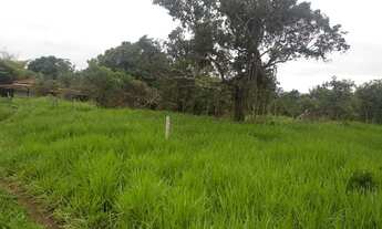 Imagem: Vende-se Fazenda com 80 Hectares, na região