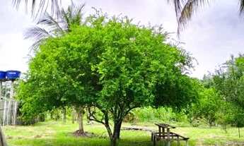 Imagem 7: Casa próximo ao shopping