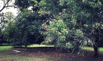 Imagem 3: Terreno para VENDA