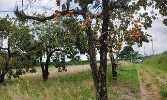 Imagem 2: C- Terreno plano