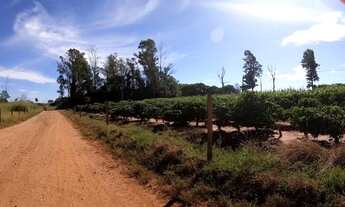 Imagem 6: Chacaras de 2000 a 3000 metros !!