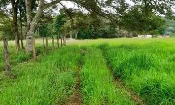 Imagem 4: Chácara em Iporá-GO ! 2.9 Alqueires ! Mega Oferta de Mercado