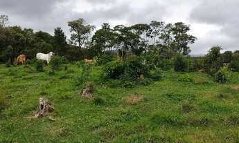 Imagem 4: Terreno em campo alegre