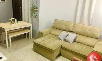 Imagem 4: São Paulo - Casa Padrão - Tatuapé