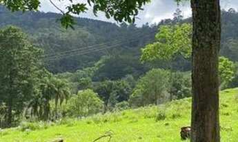 Imagem 7: Lotes de 500m2 Terreno / lote com venda por R$120.000