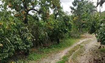 Imagem 4: C- Terreno plano