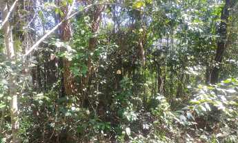 Imagem 7: Sitio em Esmeraldas